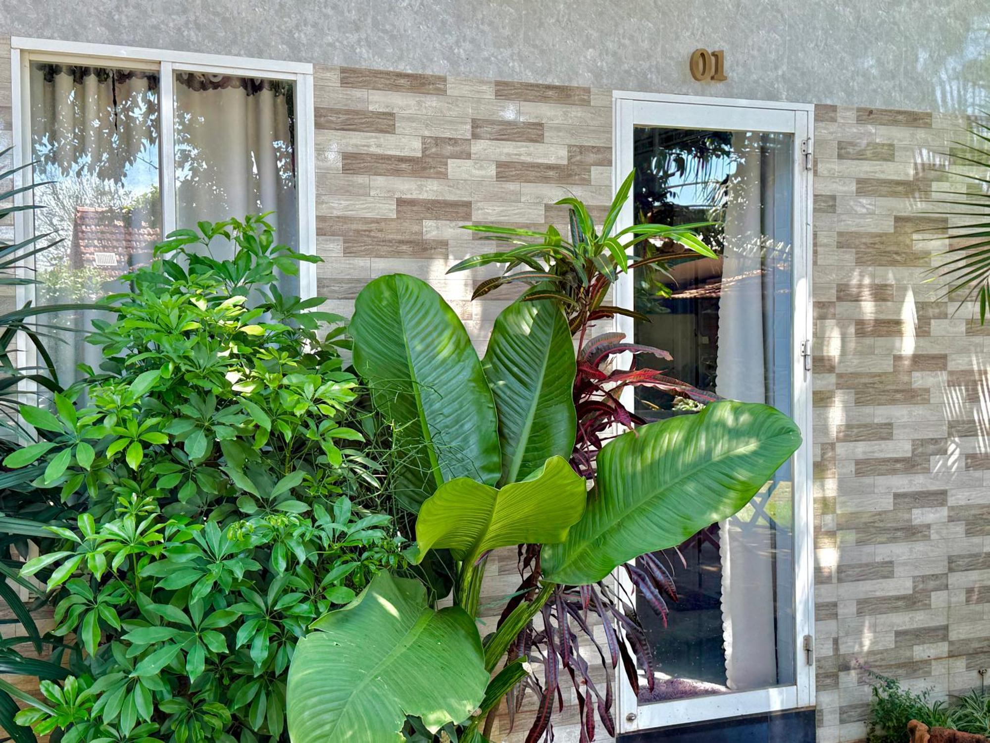 Ho Coc Homestay Dış mekan fotoğraf