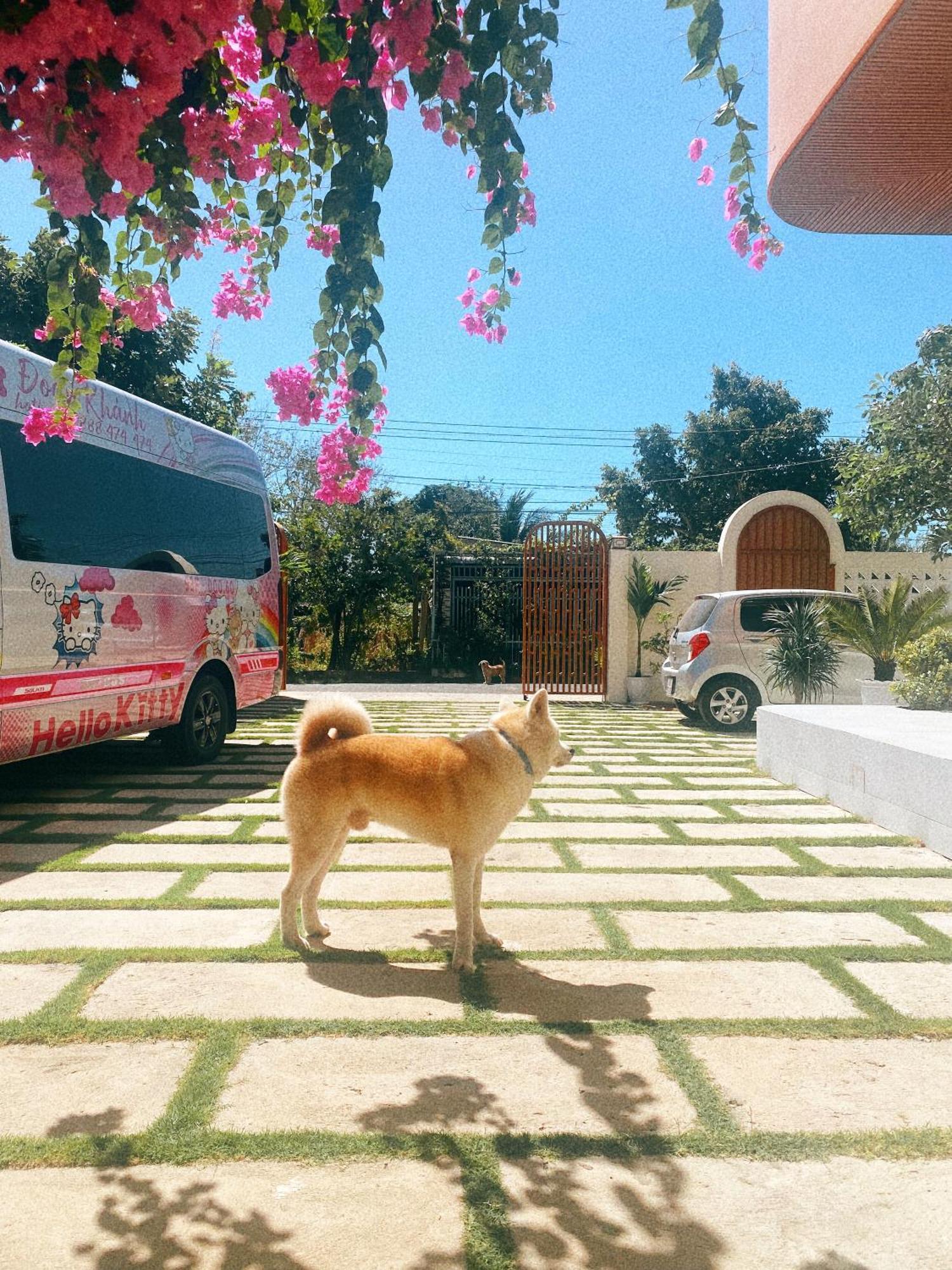 Ho Coc Homestay Dış mekan fotoğraf