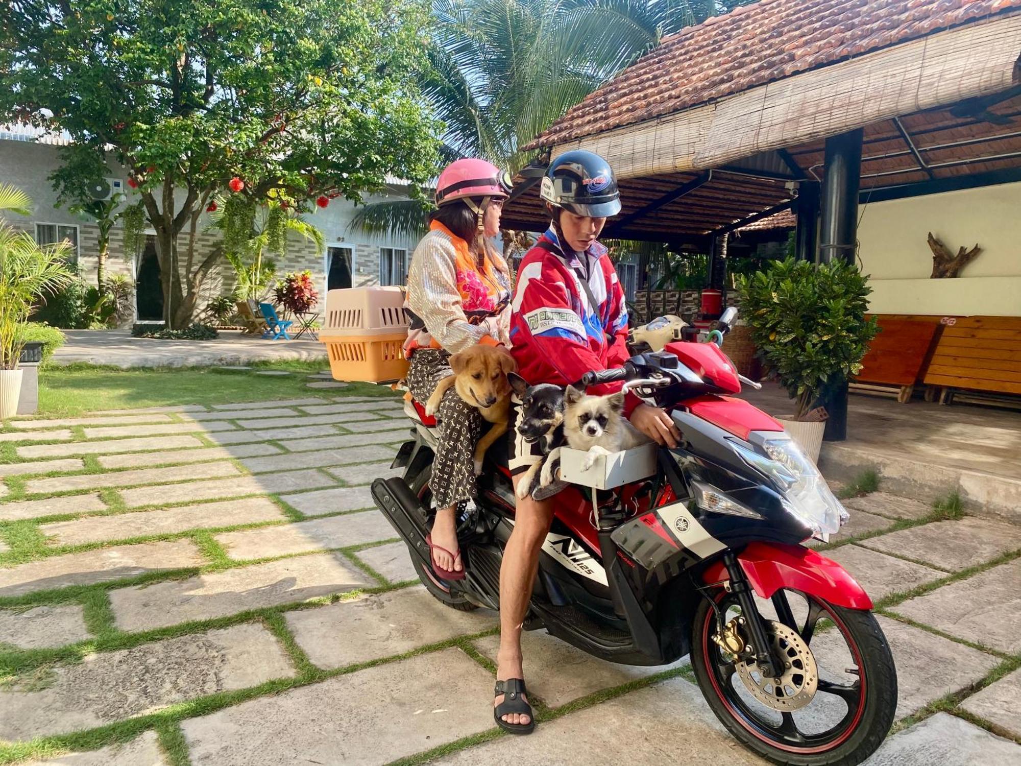 Ho Coc Homestay Dış mekan fotoğraf